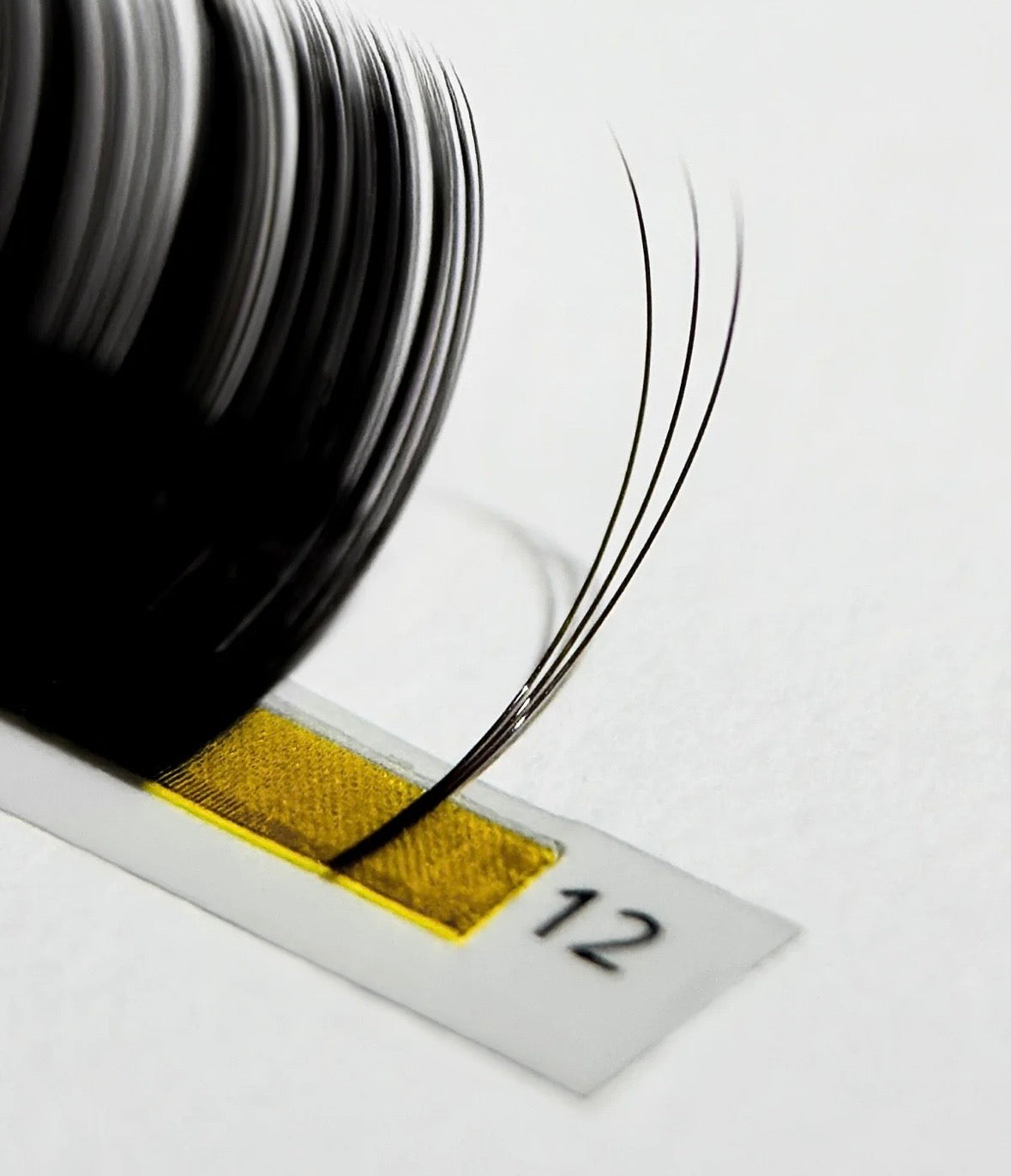 Effect Expert Black  Lash Extensions